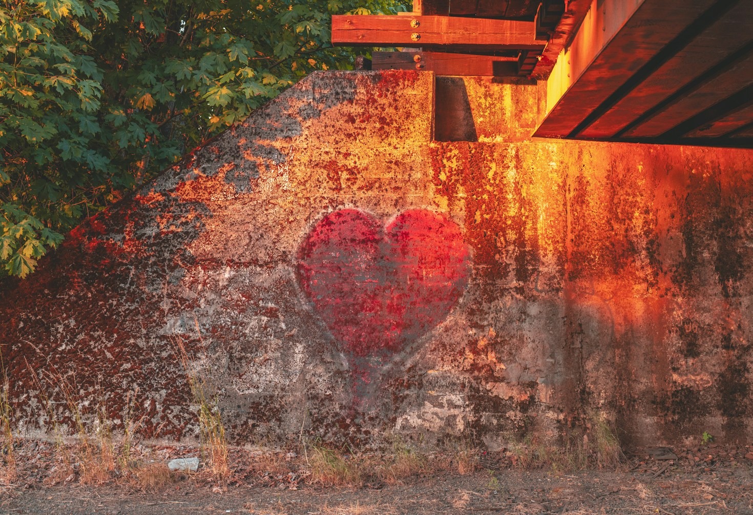 Building A Future Rooted In Togetherness